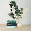 ALPHABIOL Beauty Elixier