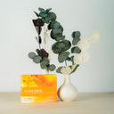 ALPHABIOL Curcumin Elixier