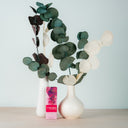 ALPHABIOL Eisen Elixier