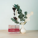 ALPHABIOL OPC Elixier